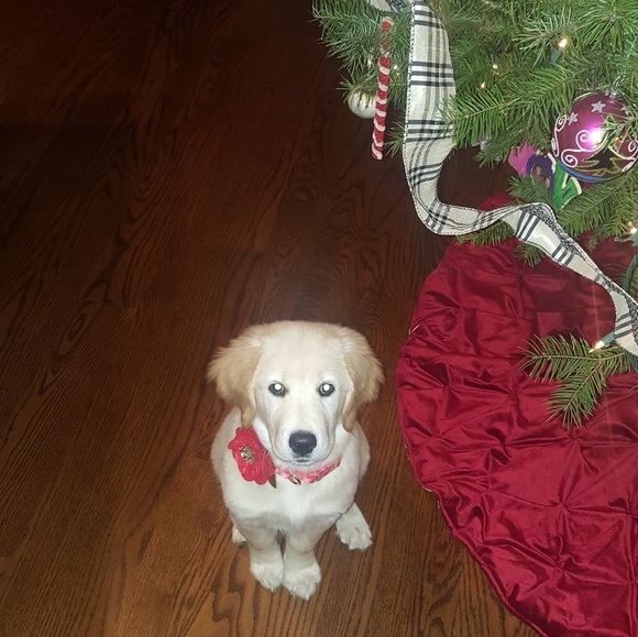 Meet your Posher, Leslie - Picture 2 of 4